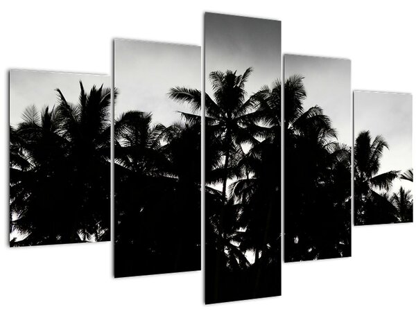 A fekete-fehér pálmafák képe (150x105 cm)