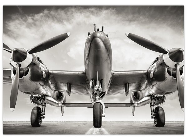 Kép - Warbird (70x50 cm)
