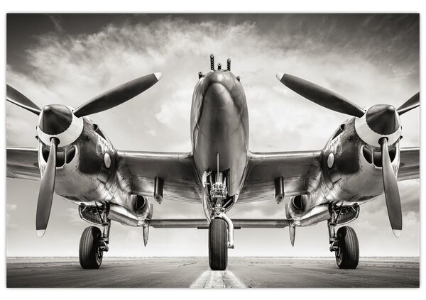 Kép - Warbird (90x60 cm)