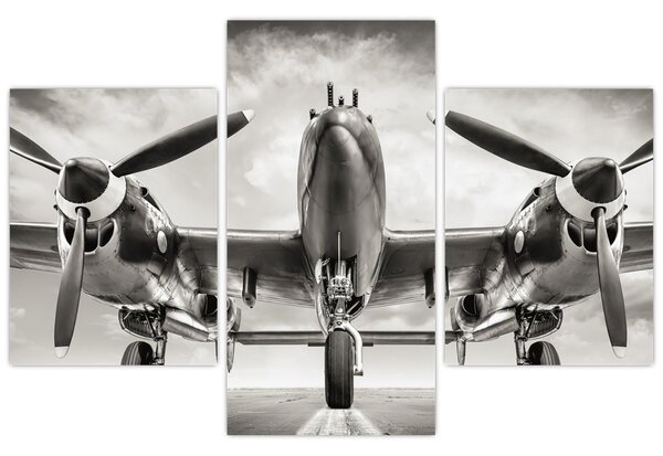 Kép - Warbird (90x60 cm)