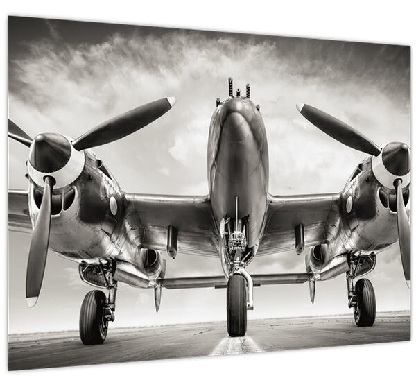 Kép - Warbird (70x50 cm)