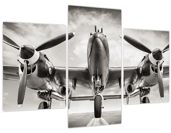 Kép - Warbird (90x60 cm)