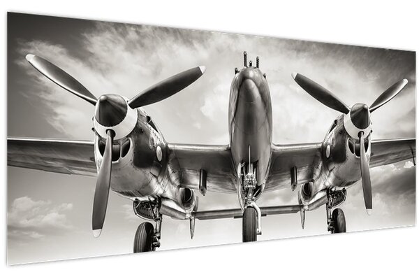 Kép - Warbird (120x50 cm)