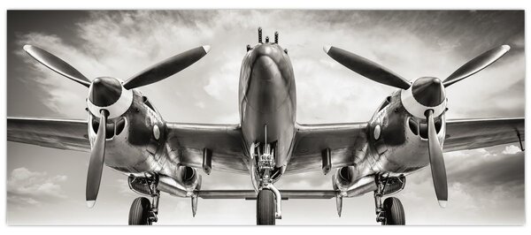 Kép - Warbird (120x50 cm)