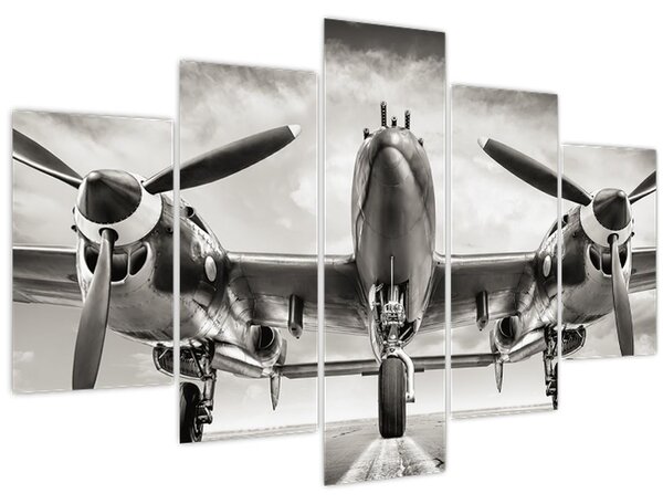 Kép - Warbird (150x105 cm)