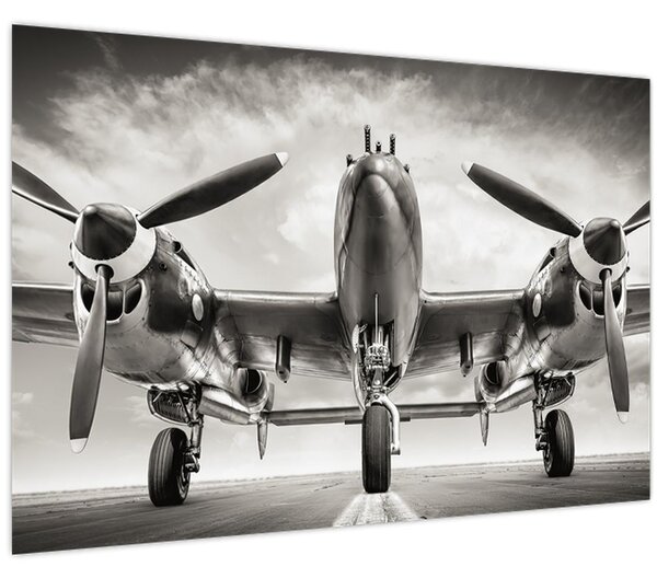 Kép - Warbird (90x60 cm)