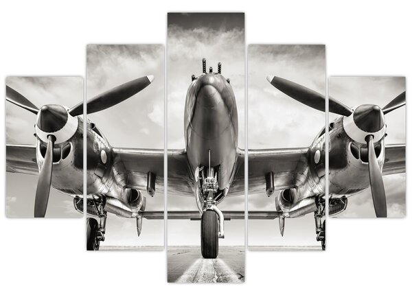Kép - Warbird (150x105 cm)