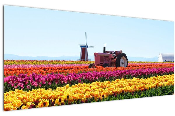 Tulipánfarm képe (120x50 cm)