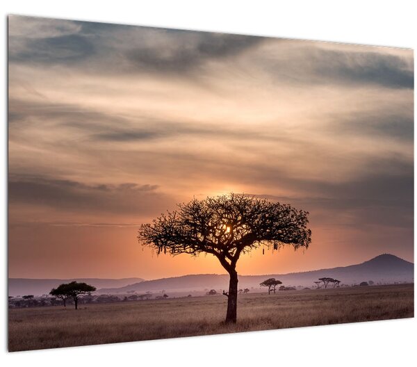 Naplemente képe Tanzániában (90x60 cm)