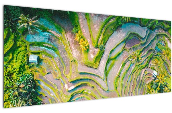 A rizsföldek képe madártávlatból (120x50 cm)