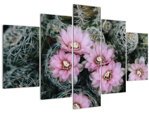 Kaktusz virágának képe (150x105 cm)