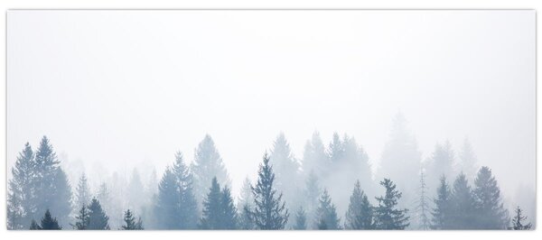 Kép - Ködös erdő (120x50 cm)