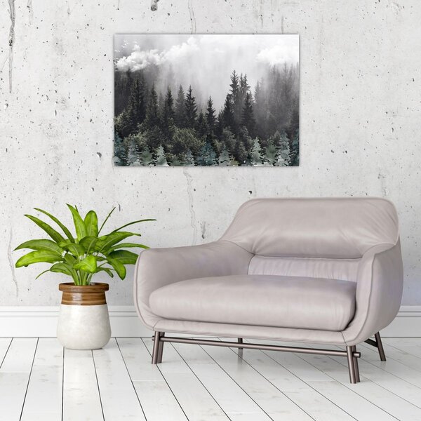 Kép - Erdő illusztrált elemekkel (70x50 cm)