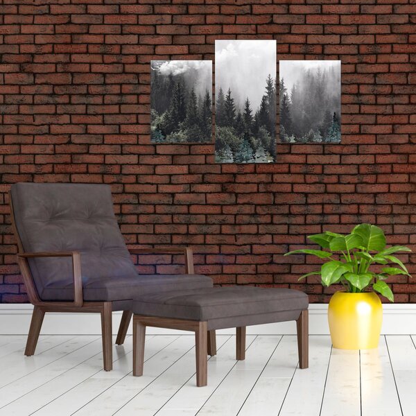 Kép - Erdő illusztrált elemekkel (90x60 cm)