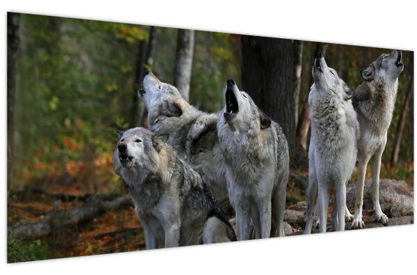Kép - Farkasok a sziklán (120x50 cm)