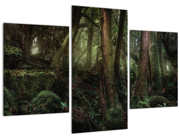 Kép - Titokzatos erdő (90x60 cm)