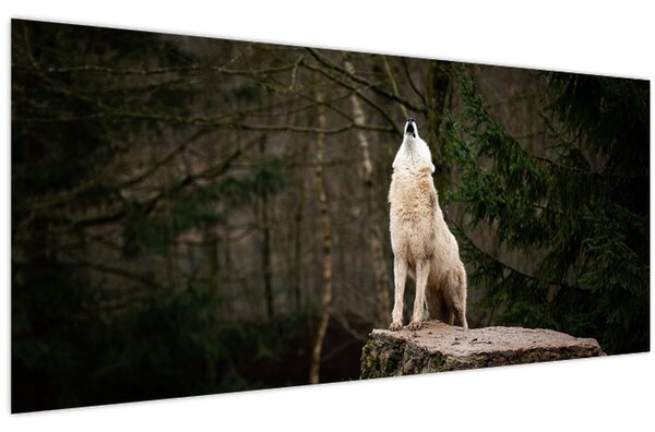 Kép - A farkas üvöltése (120x50 cm)