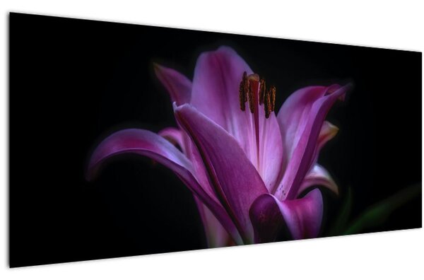 A liliom képe (120x50 cm)