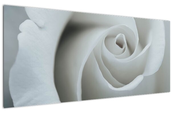 Kép - Fehér rózsa (120x50 cm)