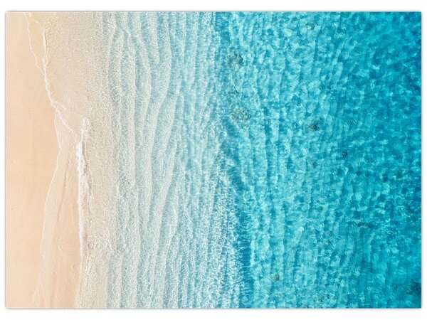 Kép - Strand (70x50 cm)