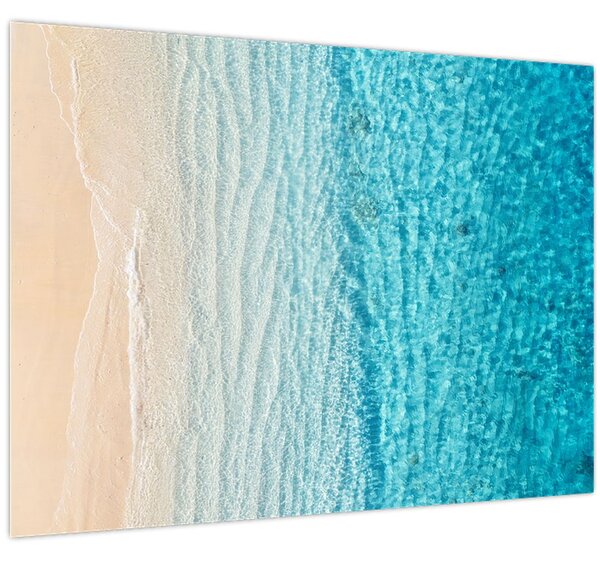 Kép - Strand (70x50 cm)