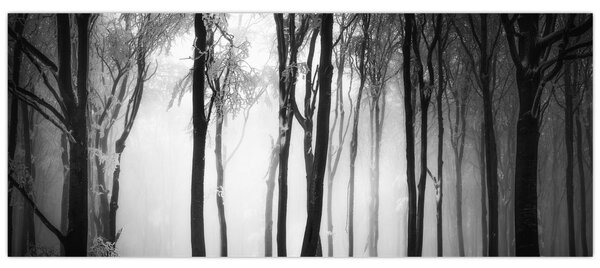Kép - Farkas a sötét erdőben (120x50 cm)