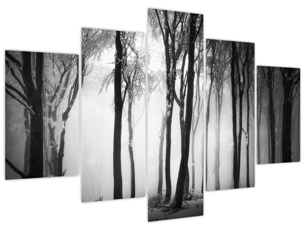 Kép - Farkas a sötét erdőben (150x105 cm)