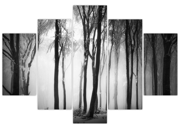 Kép - Farkas a sötét erdőben (150x105 cm)