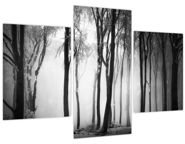 Kép - Farkas a sötét erdőben (90x60 cm)