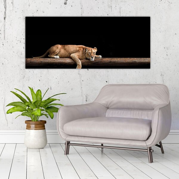 Kép - Lioness (120x50 cm)