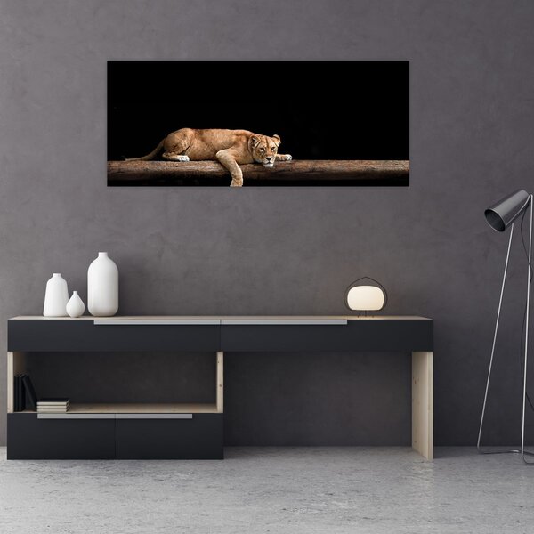 Kép - Lioness (120x50 cm)