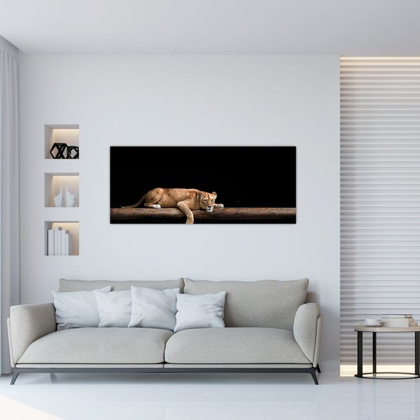 Kép - Lioness (120x50 cm)