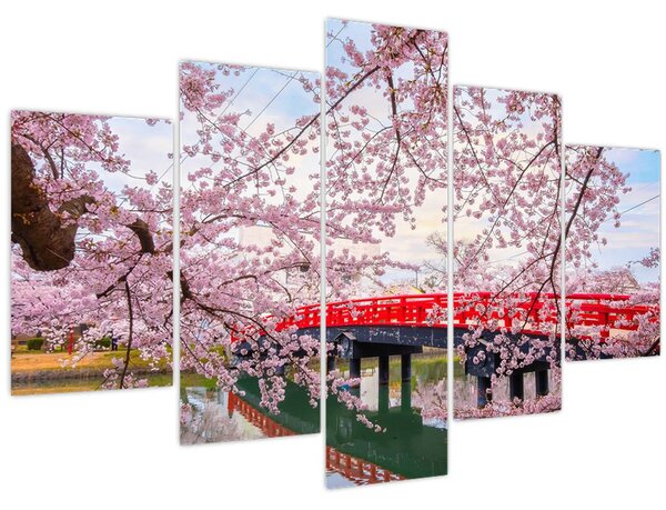 Kép - Hirosaki, Japán (150x105 cm)