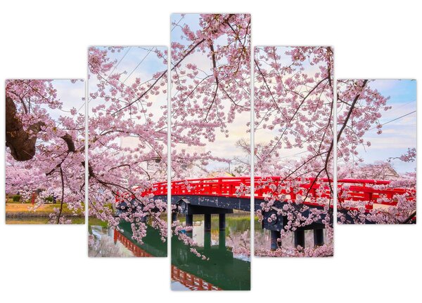 Kép - Hirosaki, Japán (150x105 cm)