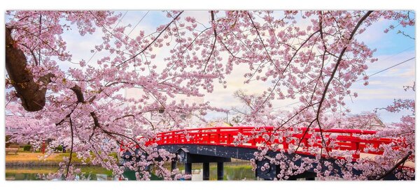 Kép - Hirosaki, Japán (120x50 cm)