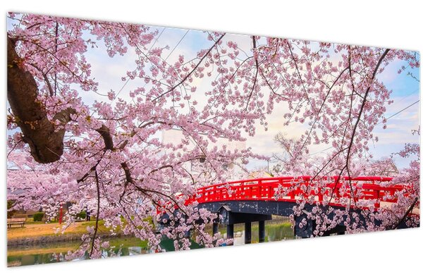 Kép - Hirosaki, Japán (120x50 cm)