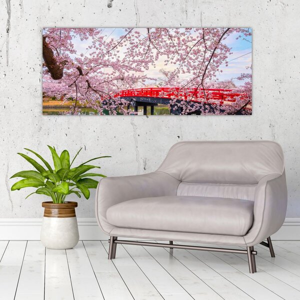 Kép - Hirosaki, Japán (120x50 cm)