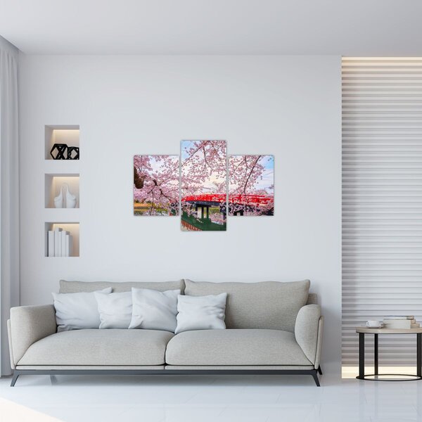 Kép - Hirosaki, Japán (90x60 cm)
