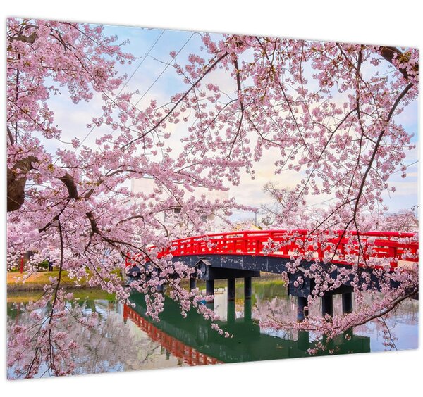 Kép - Hirosaki, Japán (70x50 cm)