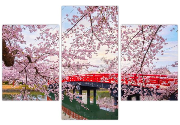 Kép - Hirosaki, Japán (90x60 cm)