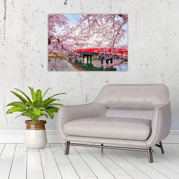 Kép - Hirosaki, Japán (70x50 cm)