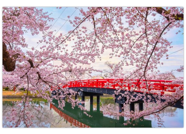 Kép - Hirosaki, Japán (90x60 cm)
