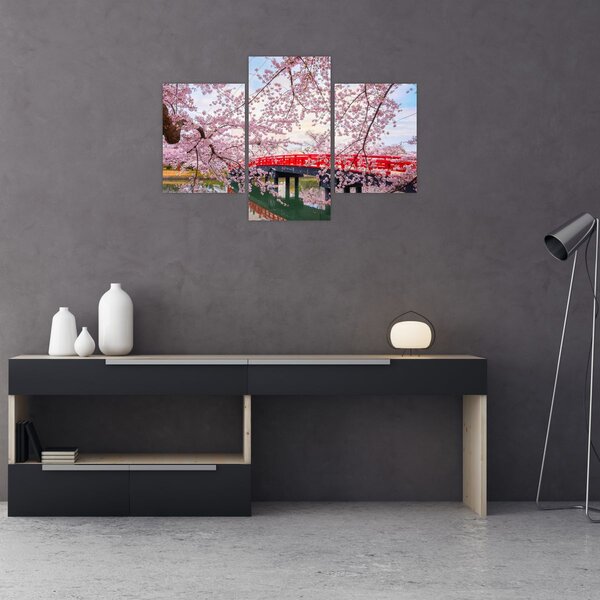 Kép - Hirosaki, Japán (90x60 cm)
