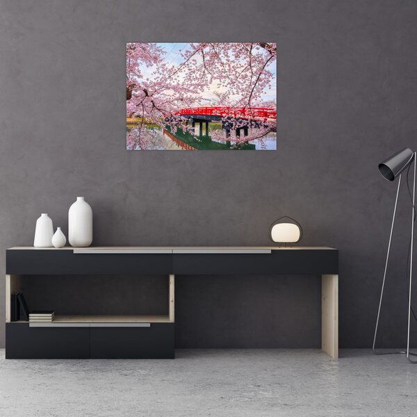 Kép - Hirosaki, Japán (70x50 cm)
