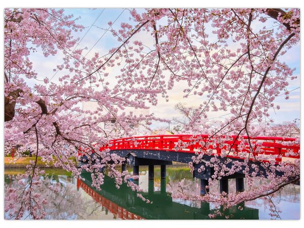 Kép - Hirosaki, Japán (70x50 cm)