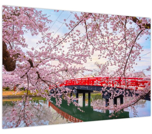 Kép - Hirosaki, Japán (90x60 cm)