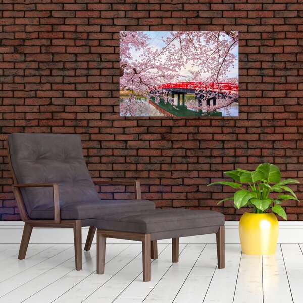 Kép - Hirosaki, Japán (70x50 cm)