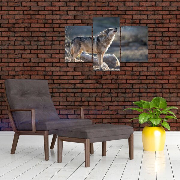 Kép - Üvöltő farkas (90x60 cm)