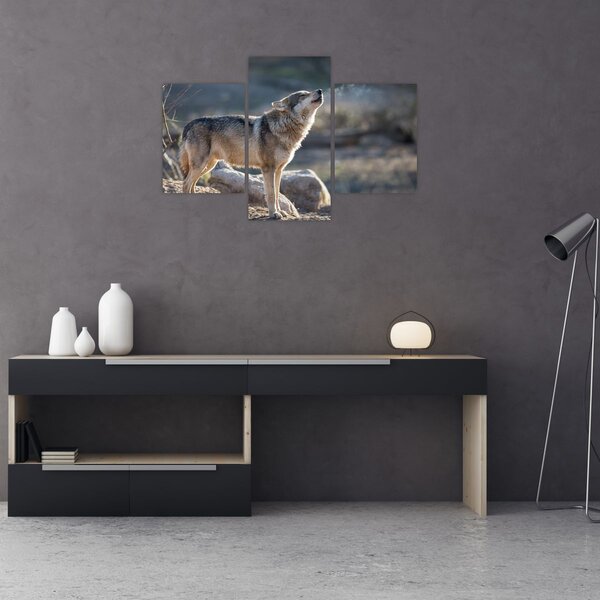 Kép - Üvöltő farkas (90x60 cm)