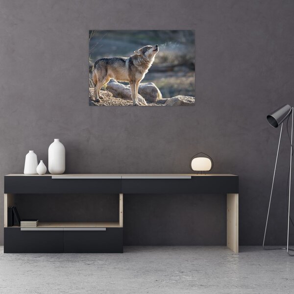 Kép - Üvöltő farkas (70x50 cm)